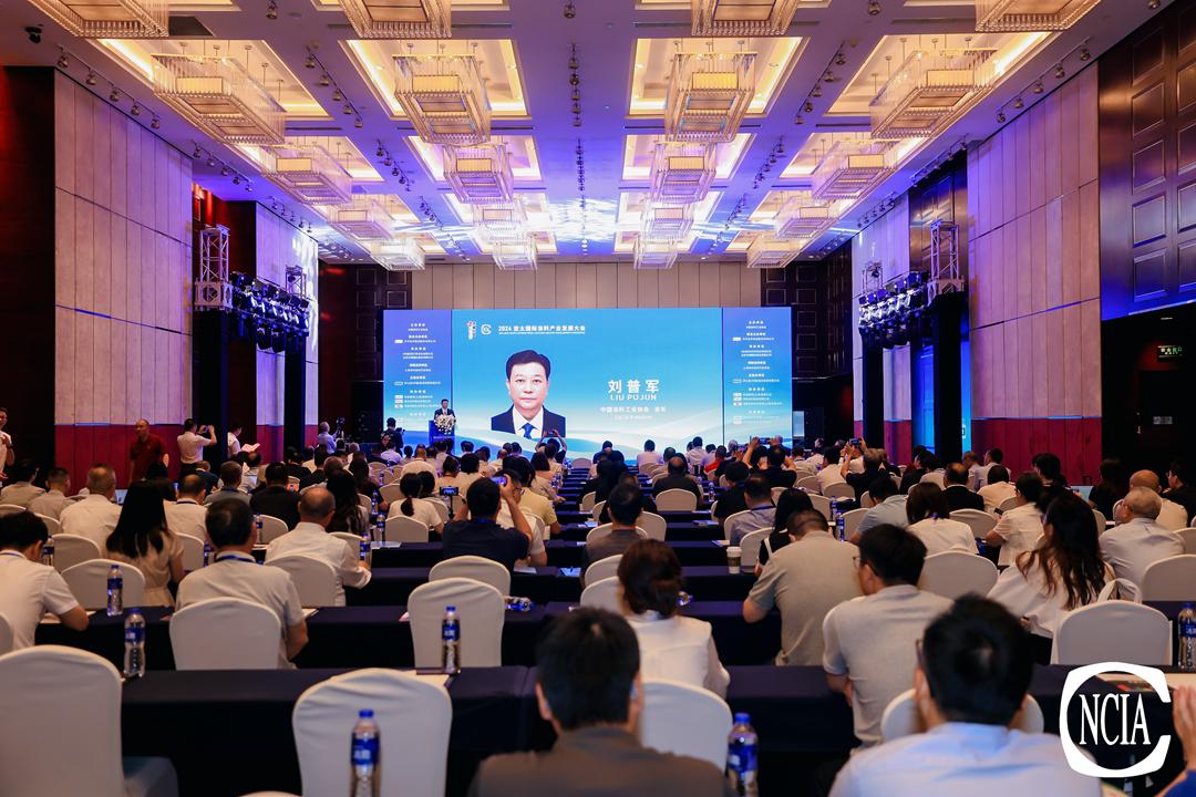 中國涂料工業(yè)協(xié)會(huì)會(huì)長劉普軍致辭